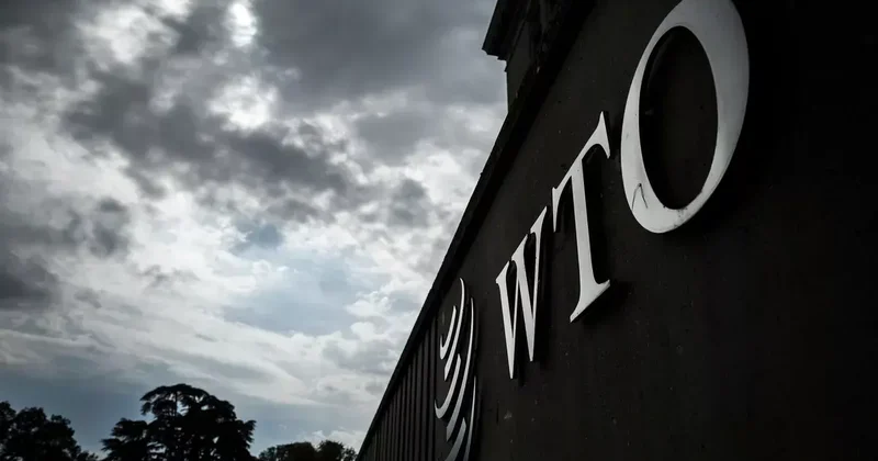 Министры торговли собираются в Камеруне для переговоров о реформе ВТО на фоне глобального кризиса