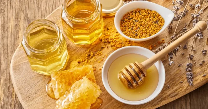 Грузия может начать экспорт меда под единым брендом с Турцией