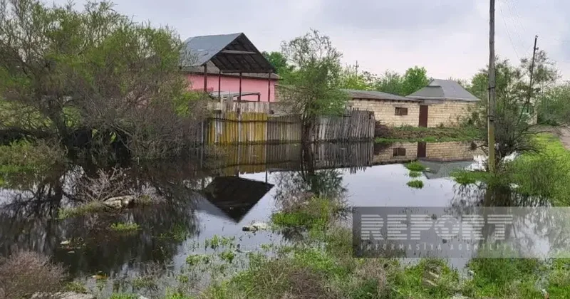 Kürdə suyun artması İmişlinin daha 2 kəndində fəsadlar törədib FOTO