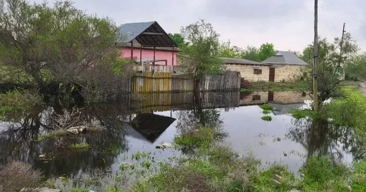 Разлив Куры привёл к затоплению сотен гектаров в Имишлинском районе