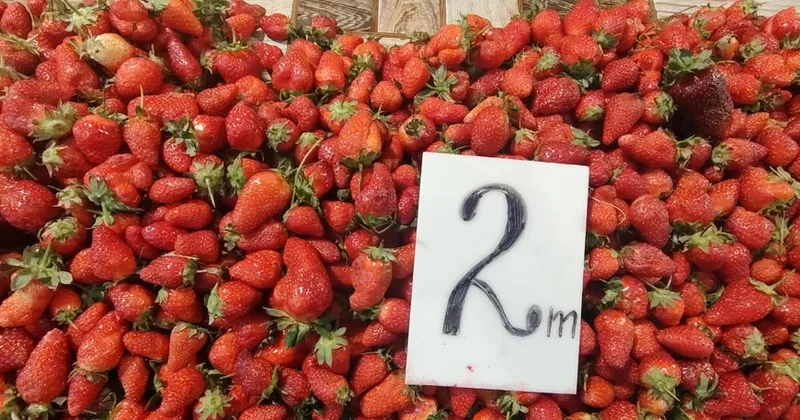 Bazarda qiymətlər əridi : Meyvə tərəvəz ucuzlaşdı FOTO)