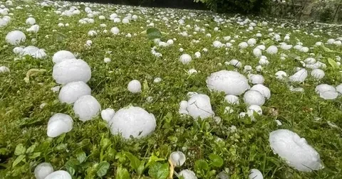 Qaxda güclü dolu və leysan kənd təsərrüfatına ciddi ziyan vurub