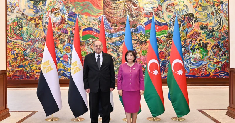 Mili Məclis və Misir Senatının sədrlərinin görüşü olub