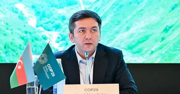 Afrika ölkələri ilə əməkdaşlığı yüksək qiymətləndiririk Rəfiyev