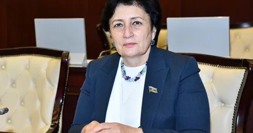 Paşinyanın dedikləri cəfəngiyatdır, niyyəti baş tutmayacaq Açıqlama