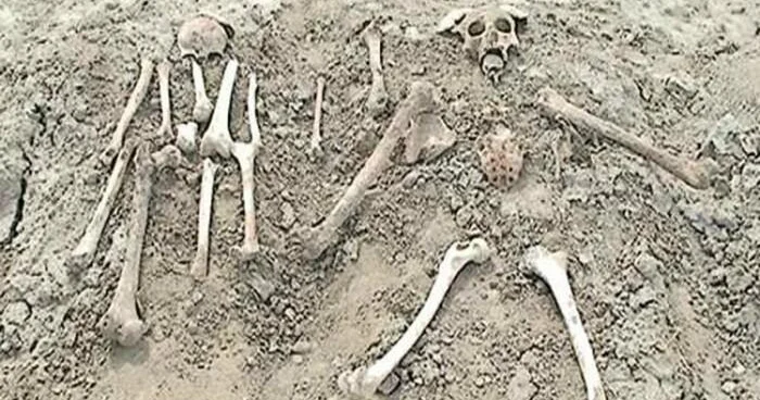 Baş Prokurorluqdan insan skeletinə bənzər sümüklərlə bağlı AÇIQLAMA