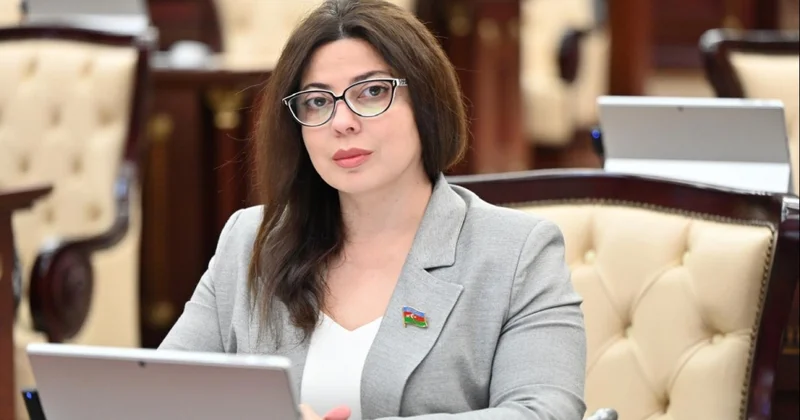 Deputatdan əfv sərəncamına görə Prezidentə TƏŞƏKKÜR
