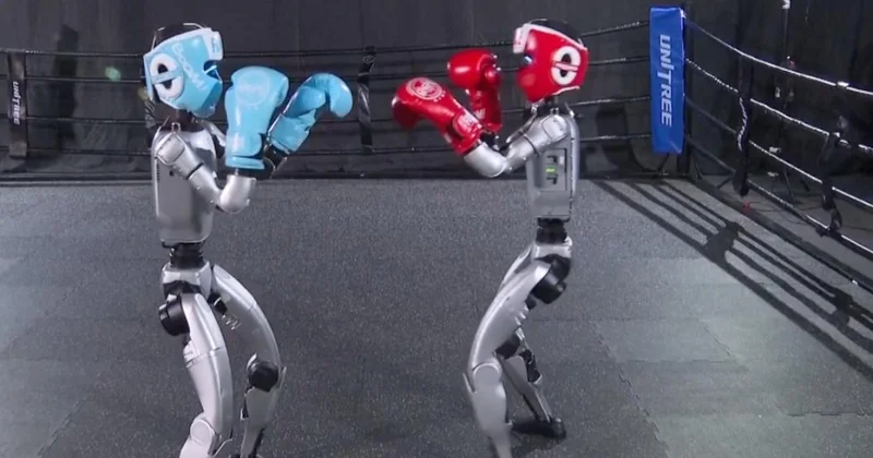 Çində insanabənzər robotların boks yarışı keçirilib