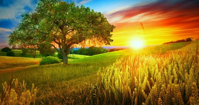 İyunda da hava yağış və küləkli keçəcək?