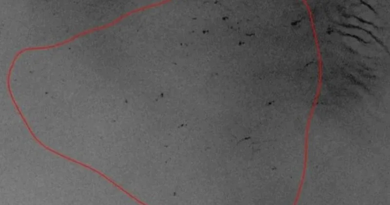 Apreldə 15 neft ləkəsi aşkar edilib Xəzərdə ekoloji təhlükə artır