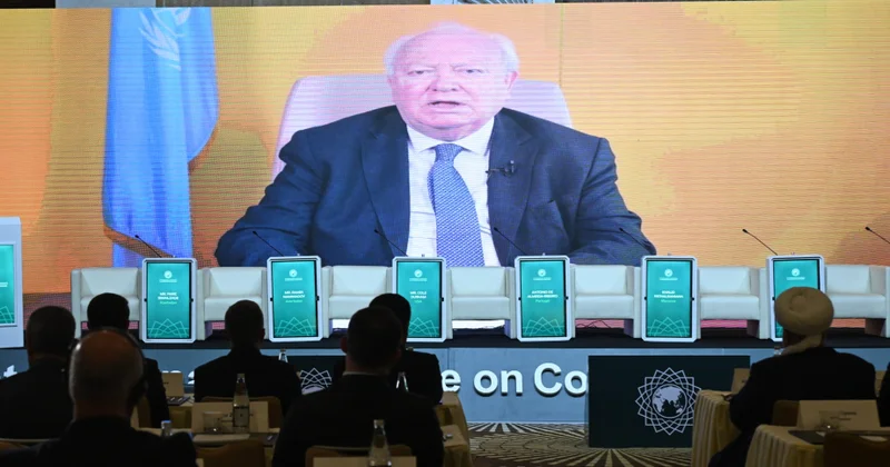 BMT rəsmisi: Müsəlmanlar institusional ayrı seçkilik və sosial iqtisadi məhdudiyyətlərlə üzləşirlər
