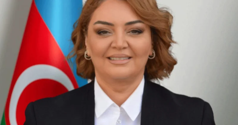 “Bakı Fəaliyyətə Çağırış” yekun sənədi gələcəkdə beynəlxalq yanaşmalara ciddi təsir göstərə bilər RƏY