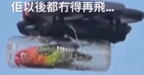 Хозяин помог своему попугаю снова взлететь ВИДЕО