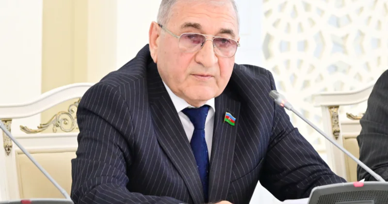 Komitə sədri: Yeni Dövlət Proqramı kənd təsərrüfatının səmərəliliyində həlledici rol oynayacaq