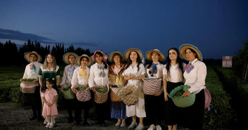 Leyla Əliyeva Lənkəranda “Yaşıl çay” fermer təsərrüfatı ilə tanış olub