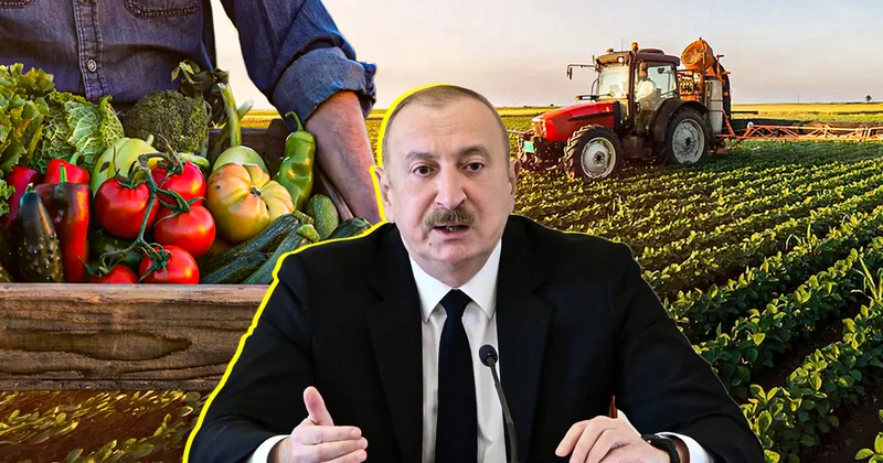 Азербайджан готовит масштабный перезапуск сельского хозяйства: как остановить рост цен и вернуть людей в села Minval Politika