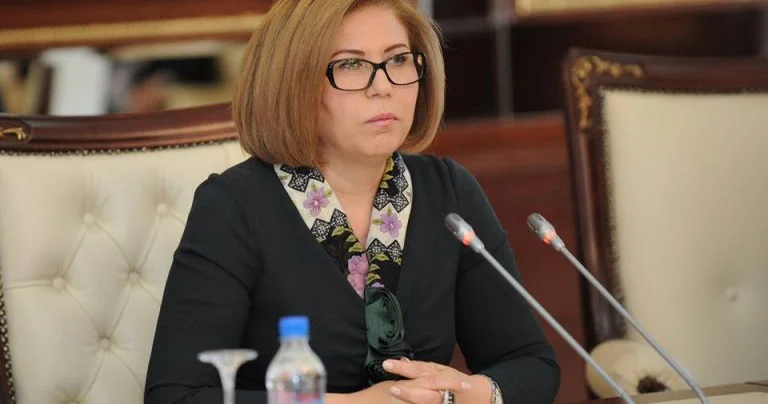 Komitə sədri: Ana və uşaq ölümünün sayının artmasının səbəbləri araşdırılmalıdır