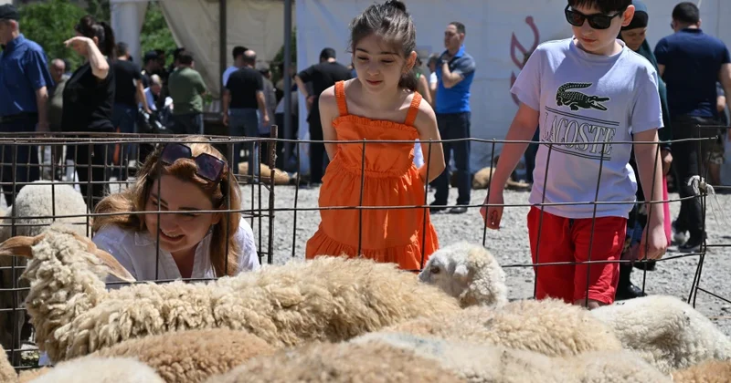 Qurban bayramı həm də həmrəyliyi və insan sevgisini gücləndirən mənəvi bir vasitədir İlahiyyatçı