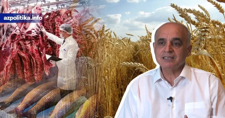 PREZİDENT “YERİNDƏ SAYIRIQ, İDXALI AZALTMALIYIQ” DEDİ... Ekspert əsas problemləri AÇIQLADI