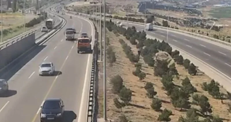 Yol kənarında ağaclara su verən texnikalar avtomobillərə təhlükədir? VİDEO