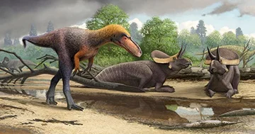 Amerikalı alimlər dinozavrın yeni növünü kəşf ediblər...