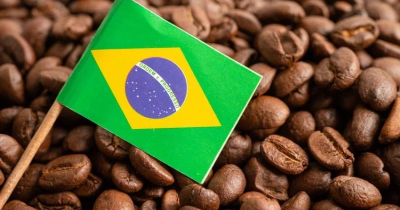 Braziliya qəhvə tədarükünü kəskin şəkildə azaldıb