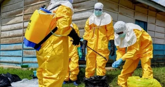 Bu ölkədə Ebolaya yoluxan və xəstəlikdən ölənlərin sayı çoxalıb