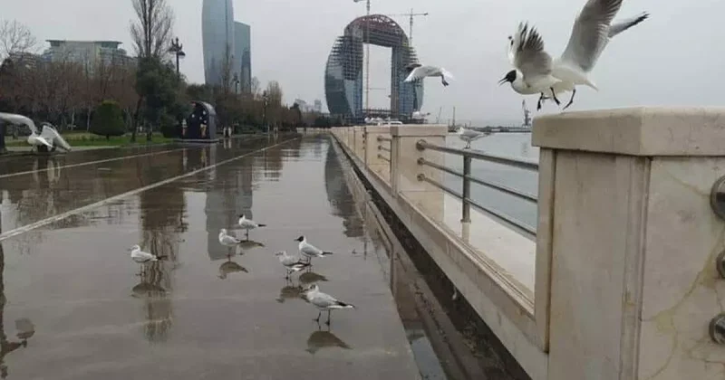В субботу в Баку осадки, грозы и северо западный ветер