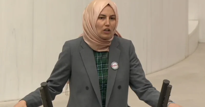 Türkiyəli deputat AŞPA da Azərbaycanı müdafiə etdi
