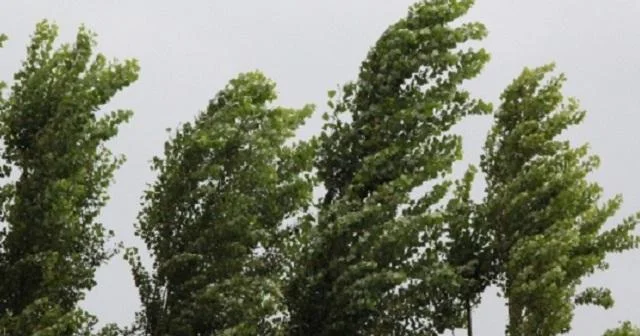 Temperatur enəcək, yağıntı artacaq Daha bir xəbərdarlıq