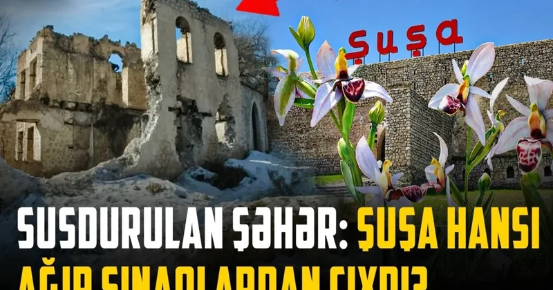 Sərhədlərə sığmayan şəhərin həqiqətləri: Şuşada illərin yarası necə sağaldı? VİDEO