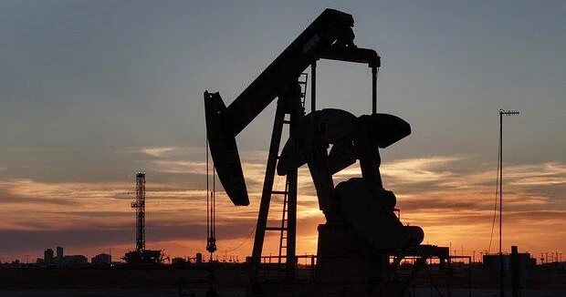 Крупнейший импортер нефти снизит ее закупки