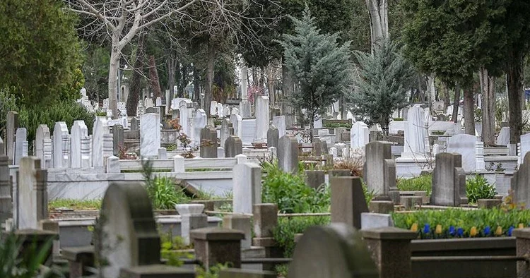 ​Türkiyədə bir ildə yarım milyon adam ölüb