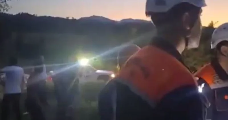 Заблудившихся в ленкоранском лесу спасли видео