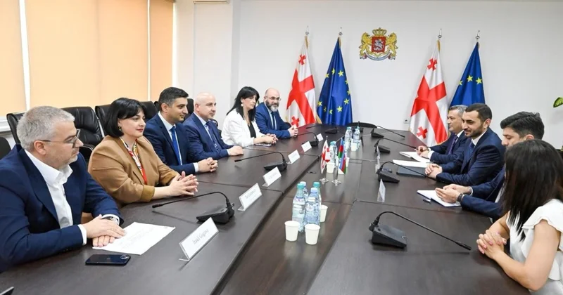 DSMF sədri Gürcüstan Sosial Xidmət Agentliyinin direktoru ilə görüşüb