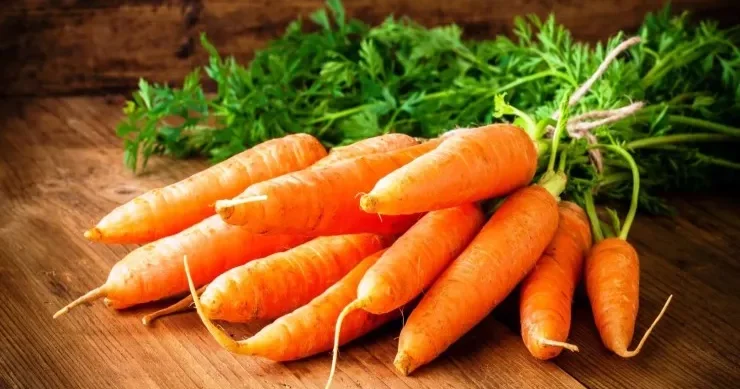 Alimlər kökün ömrü uzatdığını sübut etdilər