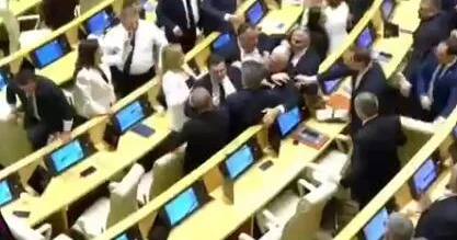 В парламенте Грузии произошла драка ВИДЕО