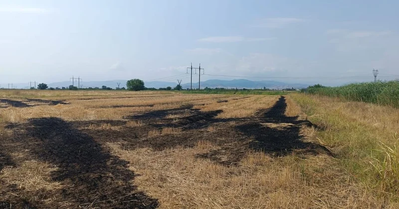 Tovuzda əkin sahələrini yandıran şəxslər saxlanılıblar