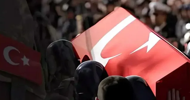 Türkiyə Ordusunun 2 əsgəri qızdırmadan öldü