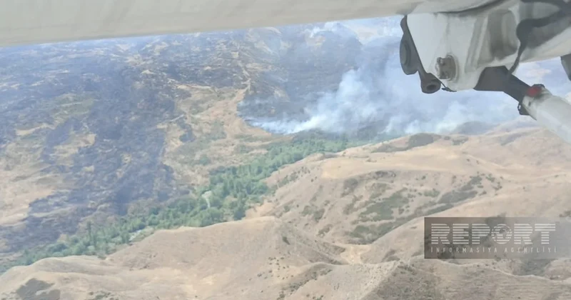 Talış və Tapqaraqoyunlu kəndləri istiqamətində yanğınlar meşəlik əraziyə keçdi (FOTO/YENİLƏNİB)