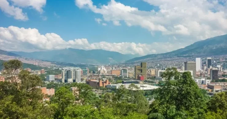 880 min ağac əkildi, şəhərdə temperatur bir neçə dərəcə aşağı düşdü
