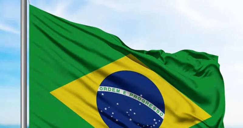 Braziliya Mileyin açıqlamalarından sonra Argentinadakı səfirini geri çağırdı