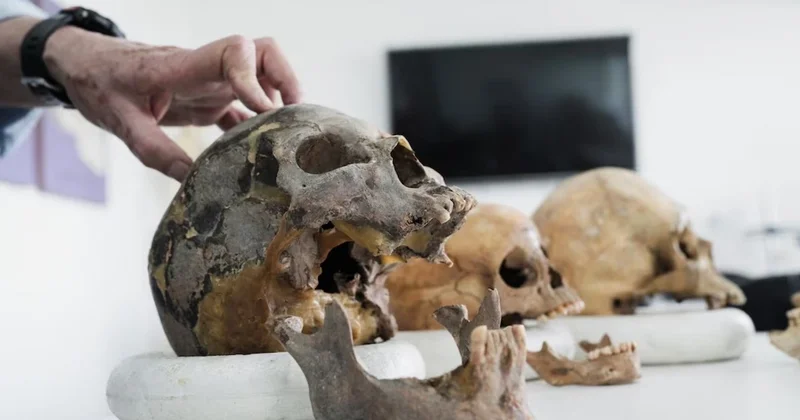 Kolumbiyada insan genomundan yeni nəsil aşkar edilib