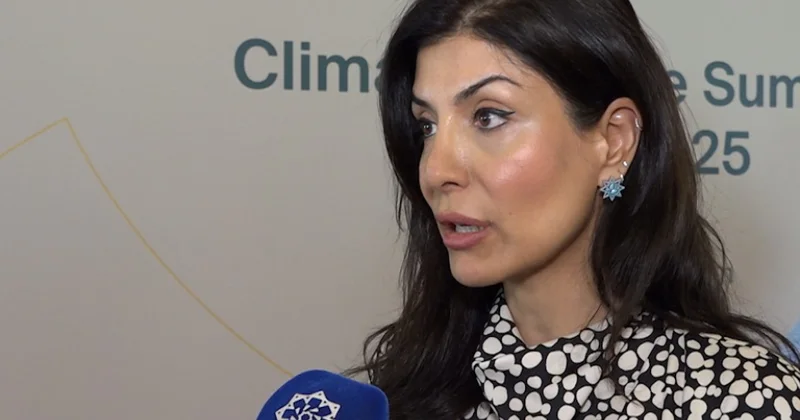 Nigar Arpadarai: Bakı İqlim Fəaliyyəti Həftəsində regiona dair müxtəlif mövzular müzakirələr olunacaq