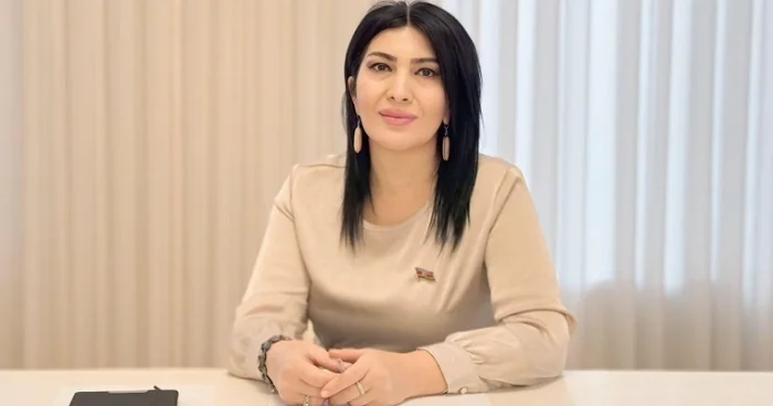 “Nəsimi ilə Cavidi müqayisə etmək lazım deyil” Millət vəkili