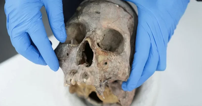 Kolumbiyada yeni insan növü aşkarlandı
