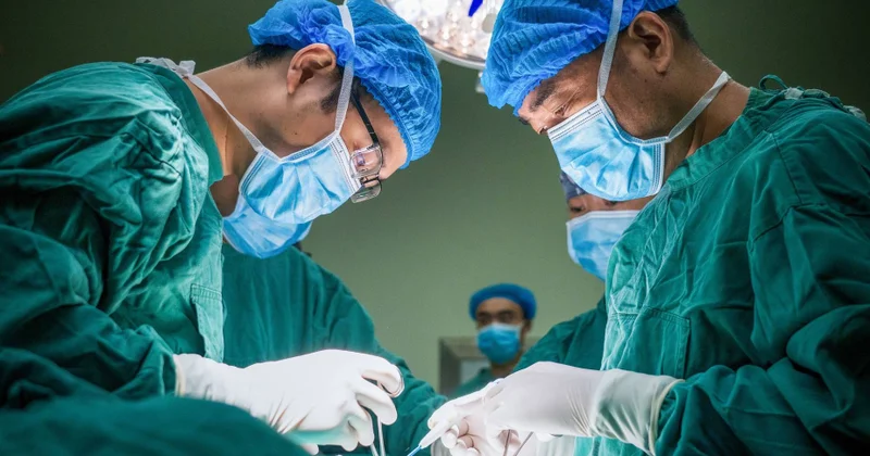Çin alimləri ilk dəfə transgen donuzun ağciyərini insana transplantasiya ediblər