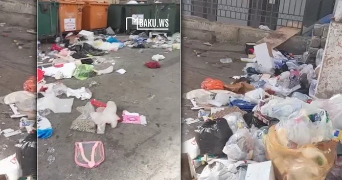 Yeni Yasamalda zibil problemi Sakinlər hər gün gözləyir VİDEO