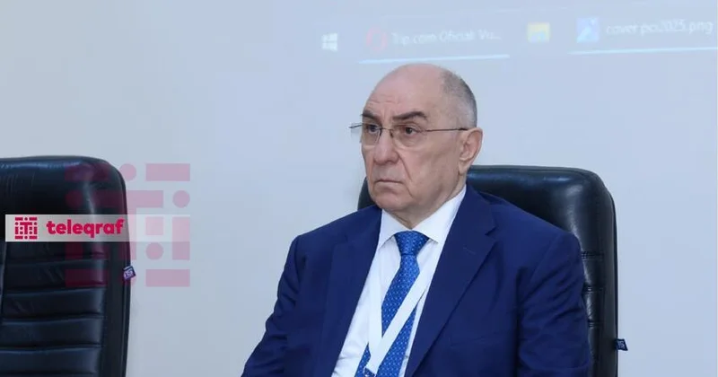 AMEA nın vitse prezidenti: Süni intellektlə bağlı ölkədə zəruri məlumatlar yoxdur