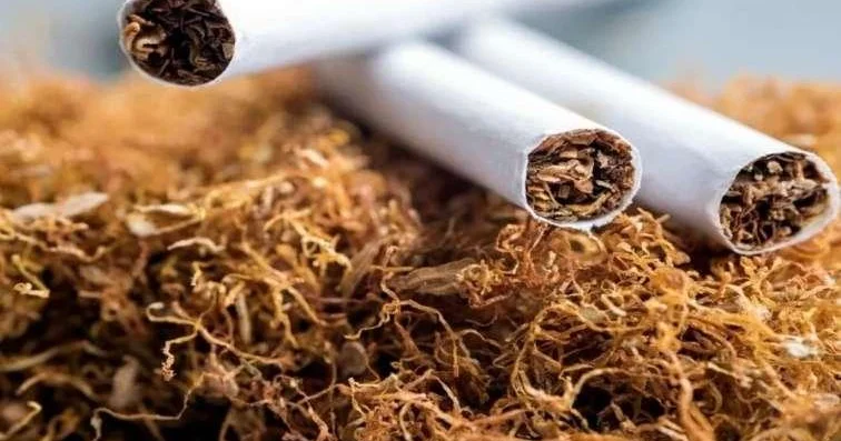 Bu sektoru dövlət də prioritet sahə kimi görmür İqtisadçı